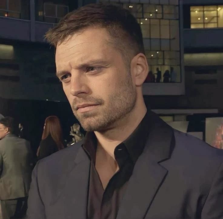 Sebastian Stan  thumbnail