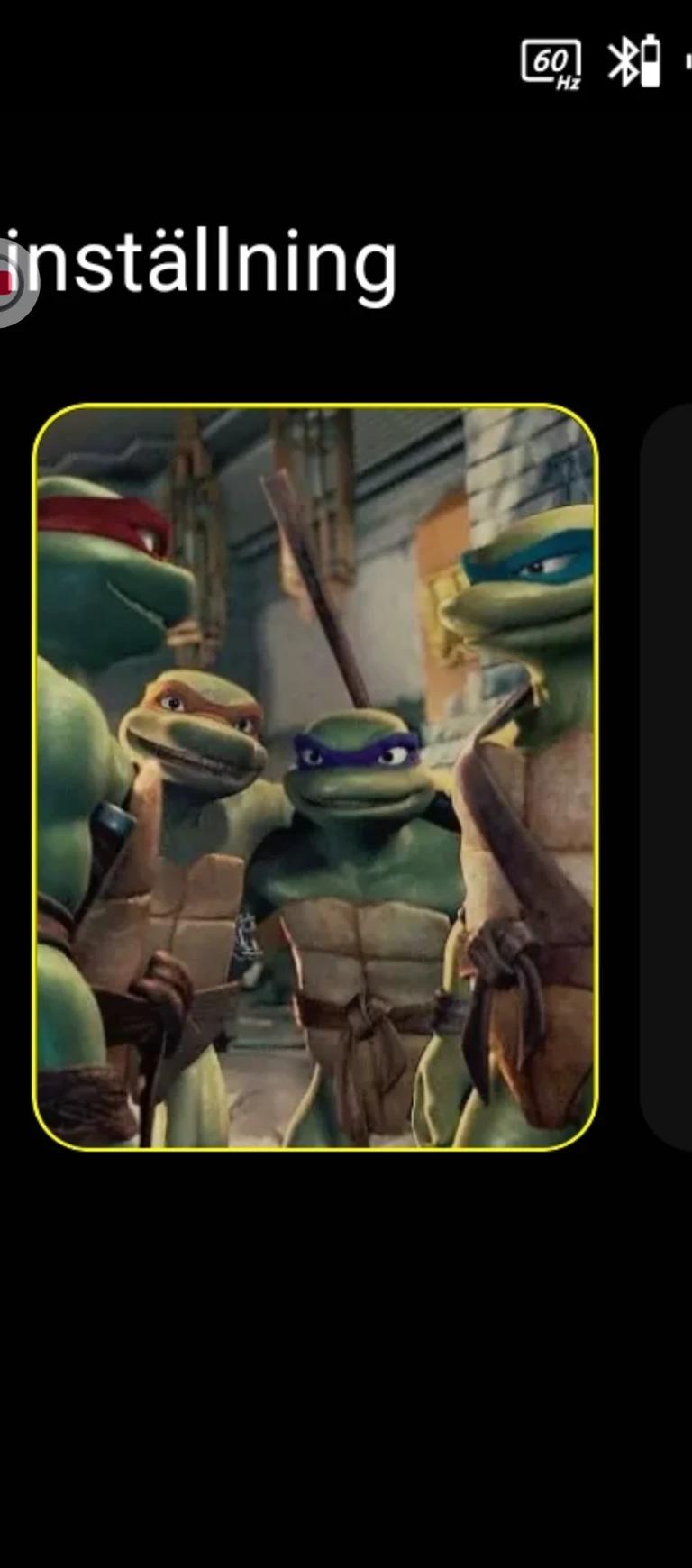 TMNT: Teenage Mutant Ninja Turtles 2007- thumbnail