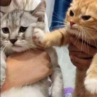 Whiskersssss thumbnail
