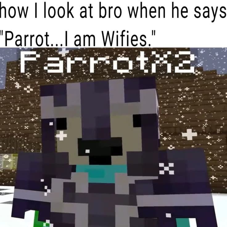 ParrotX2  thumbnail
