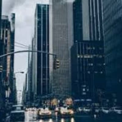 City of Animals thumbnail