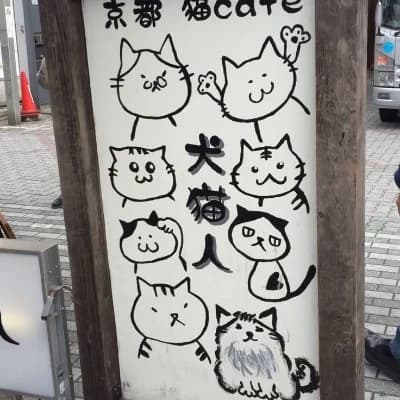 Magic cat cafe thumbnail