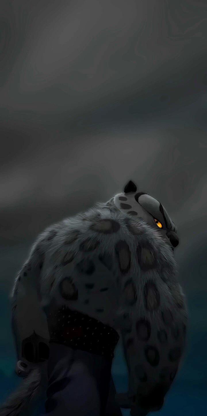Tai lung thumbnail