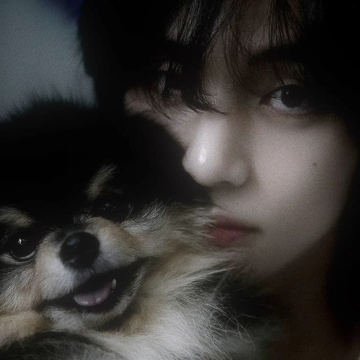 😭🥺❤️❤️‍🩹Taehyung y yeontan❤️🥺😭 thumbnail