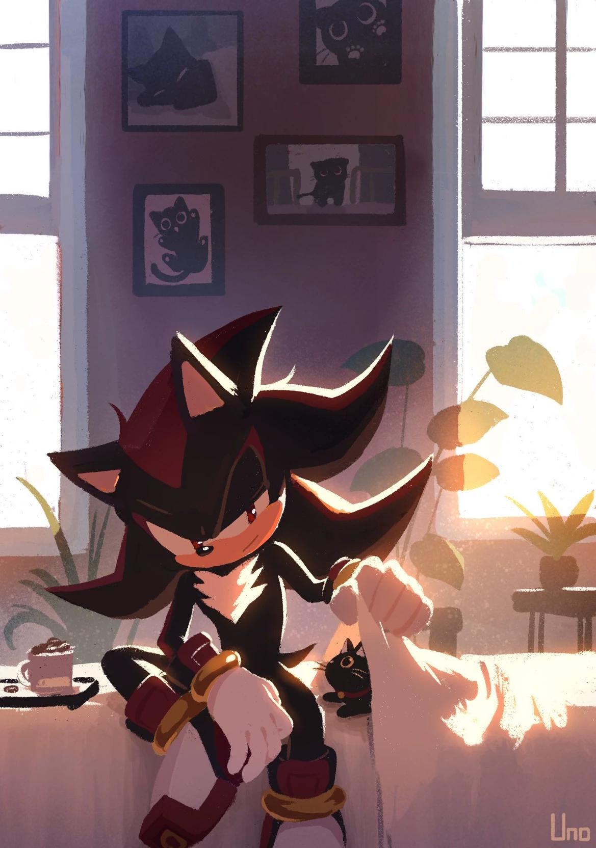 Shadow The Hedgehog  thumbnail