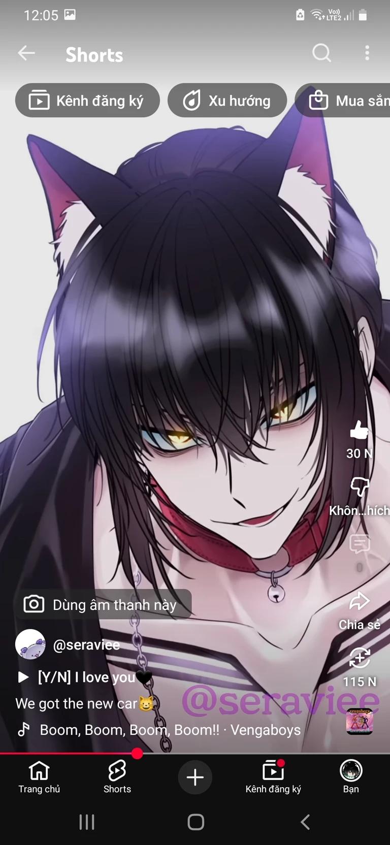 Seo Woo | Cat thumbnail