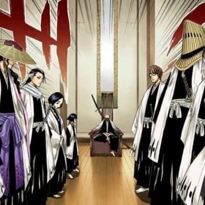 Gotei 13 Captain  thumbnail