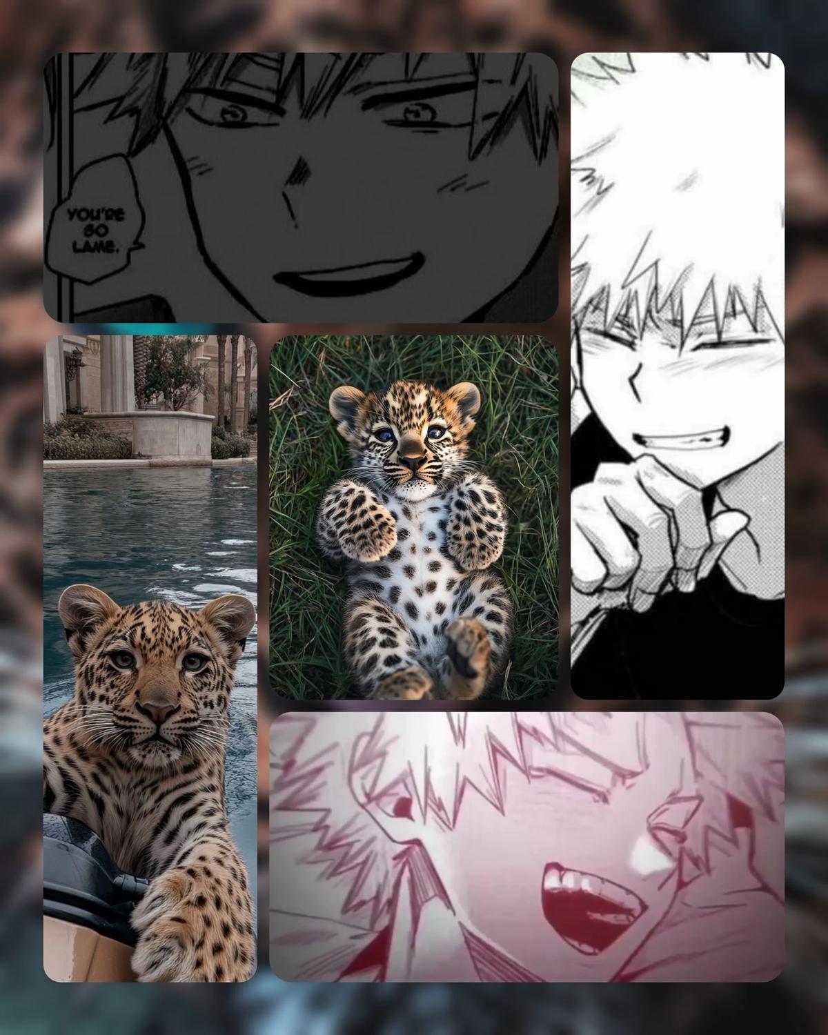 ★·´ `·.·★ 🌸 𝔹𝕒𝕜𝕦𝕘𝕠 •||• ℂ𝕒𝕔𝕙𝕠𝕣𝕣𝕠 𝕕𝕖 𝕁𝕒𝕘𝕦𝕒𝕣 🌸 ★·..·´` ·.★ thumbnail