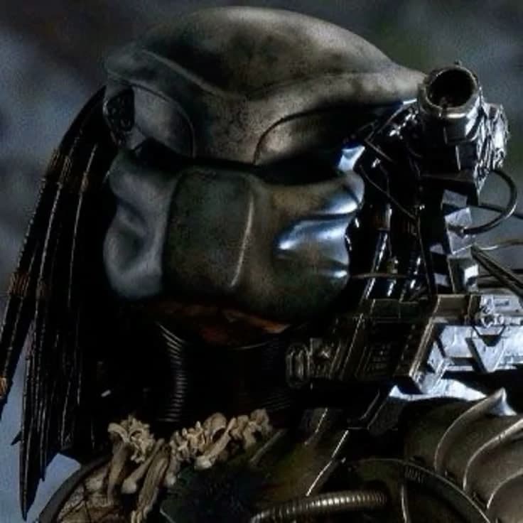 Predator  thumbnail
