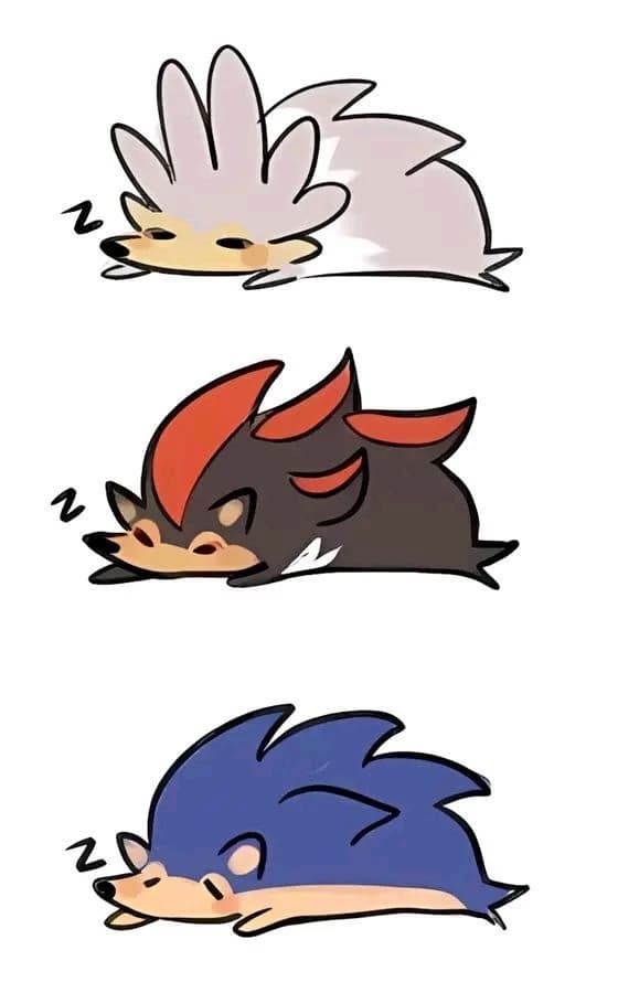 Sonic, Shadow and Silver[3 friendly hedgehogs.] thumbnail
