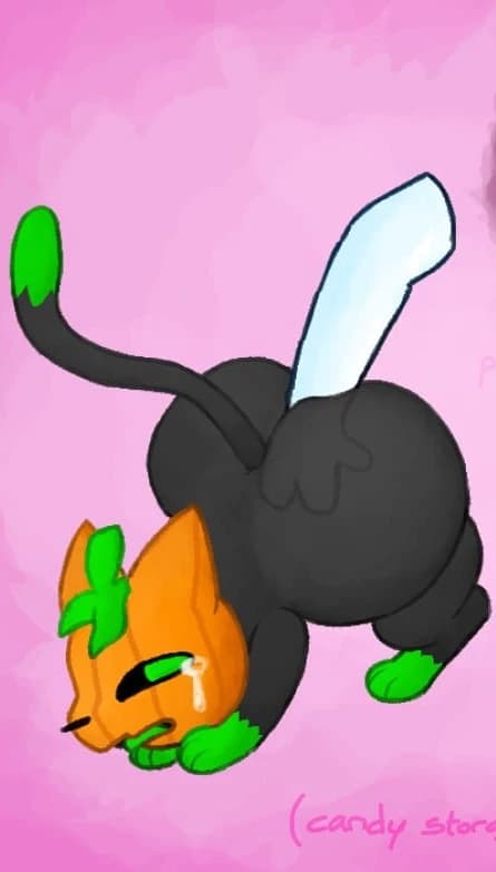 Pumkat thumbnail