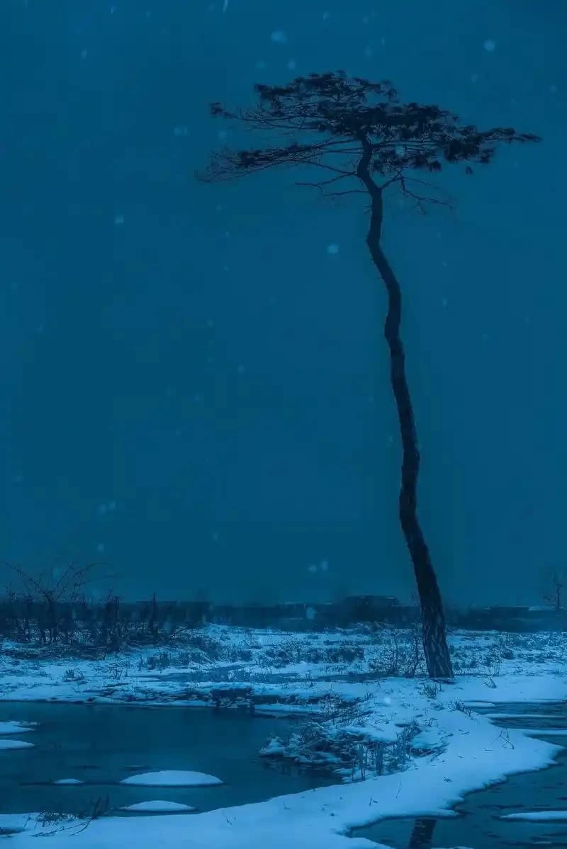 Frozen World thumbnail