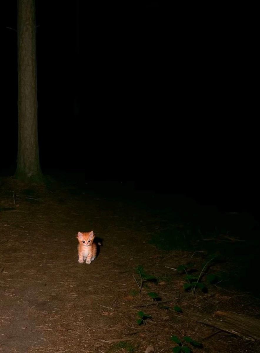 Skinwalker thumbnail