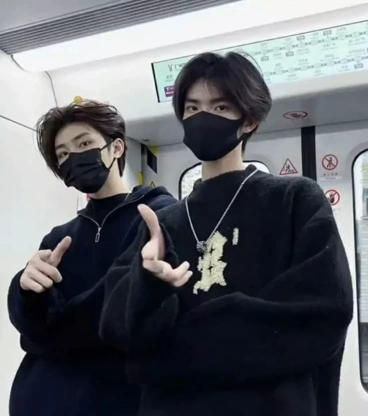 The twin  thumbnail