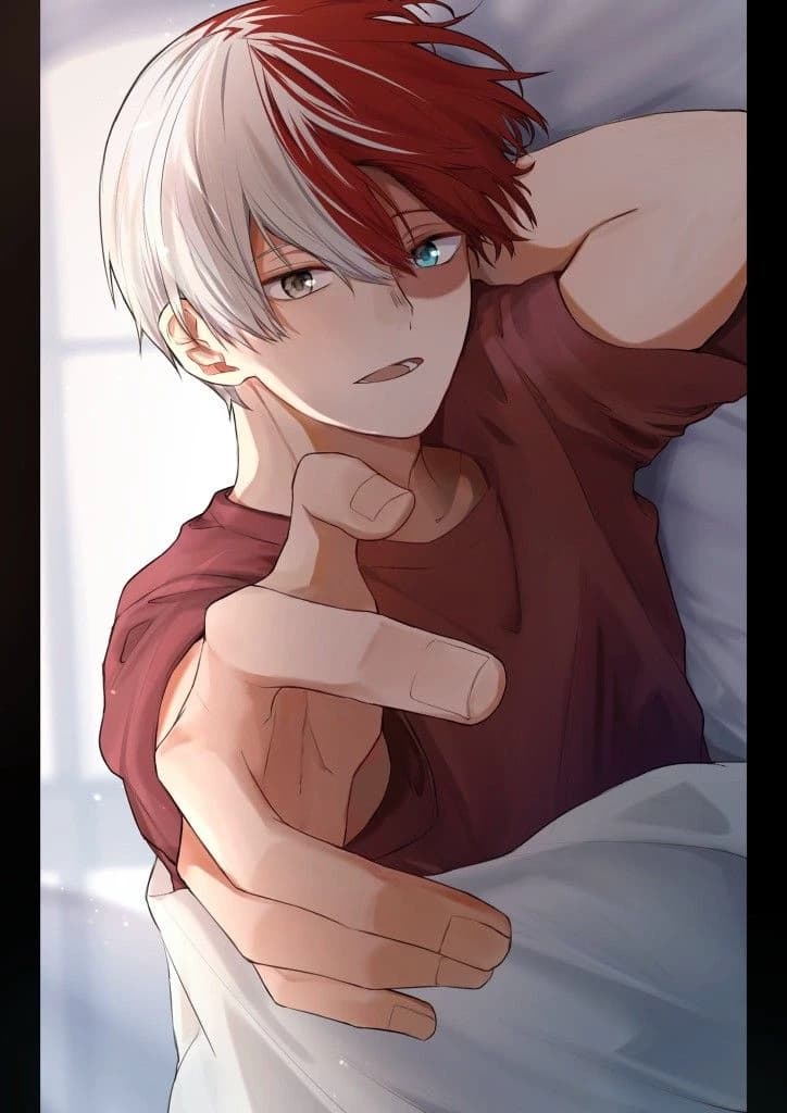 Shoto Todoroki thumbnail