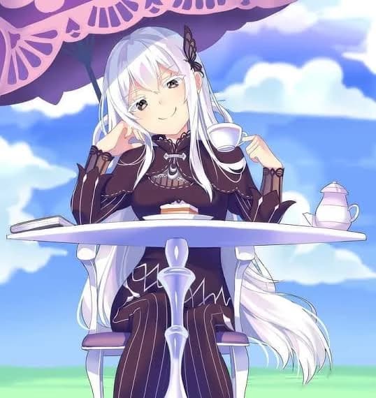 Echidna thumbnail