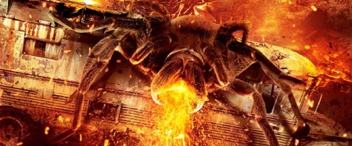 Spider Family (Son Version) thumbnail