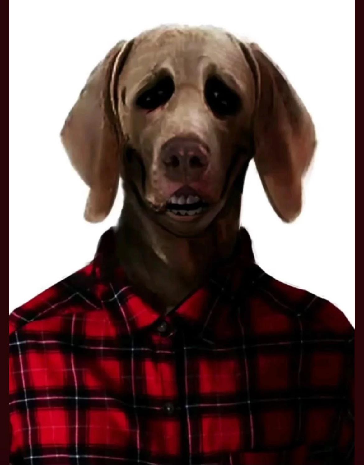 Dog nightmare  thumbnail