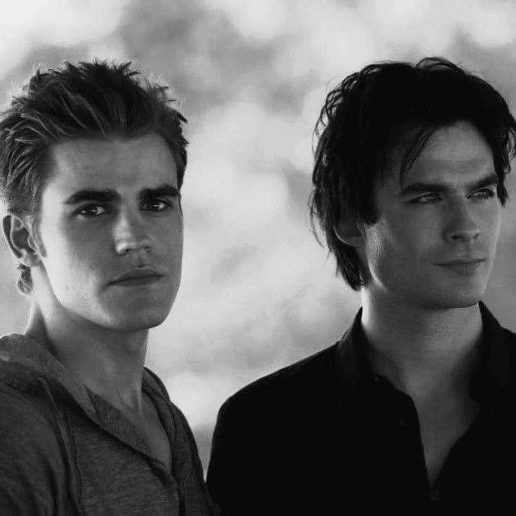 Damon and Stefan thumbnail