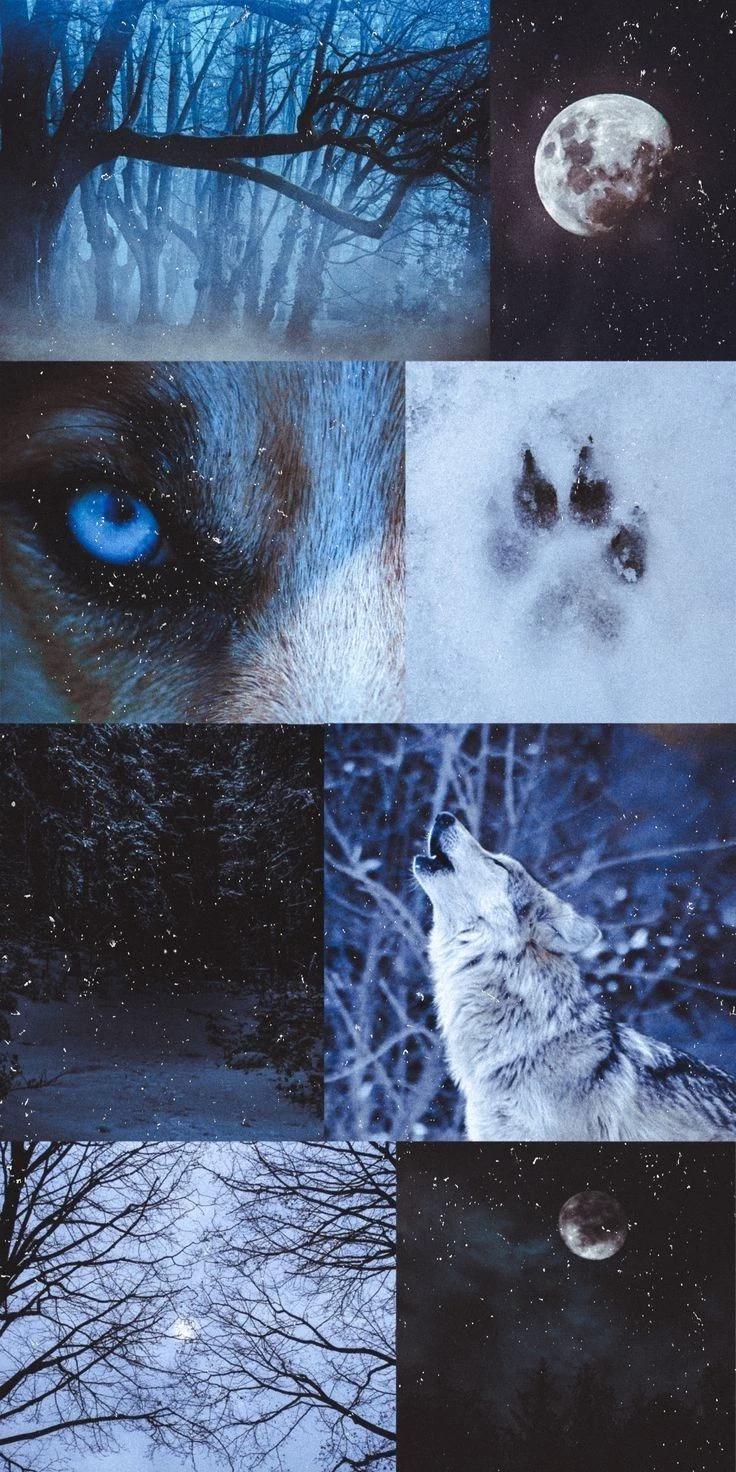 Werewolf Alpha  thumbnail