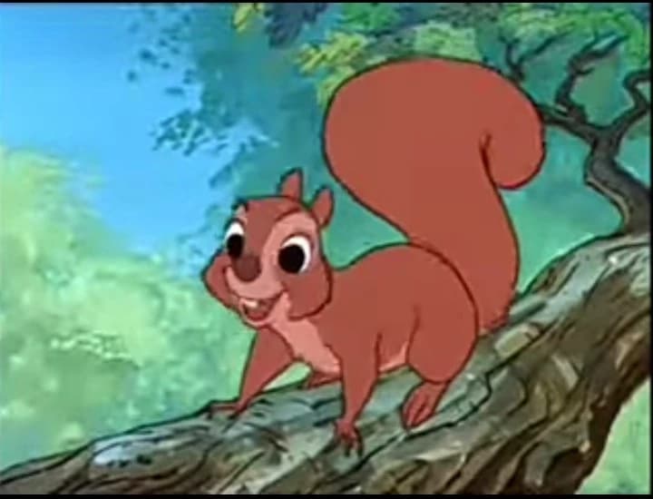 Flirty female redhead squirrel 3 thumbnail
