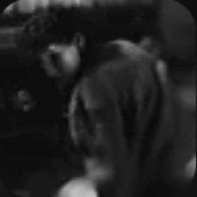 Brahms Heelshire thumbnail