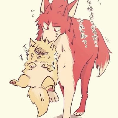 Bakugo the dog thumbnail