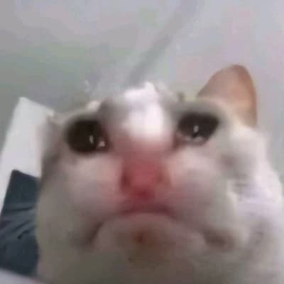 Whiskers thumbnail