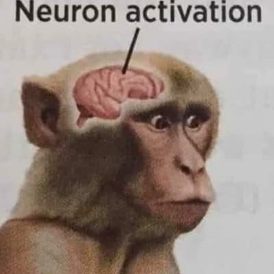 Monkey with -100000 aura thumbnail