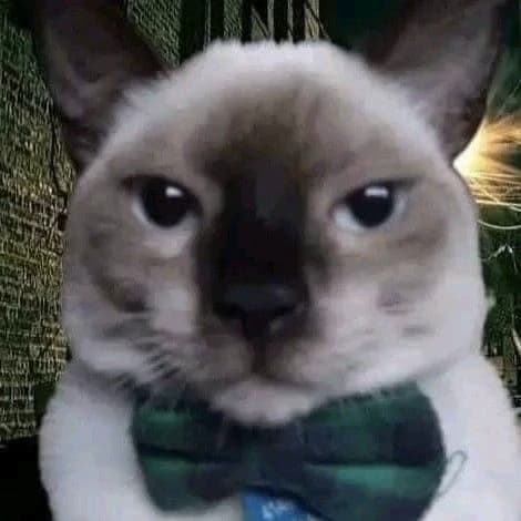 Cat psychologist thumbnail
