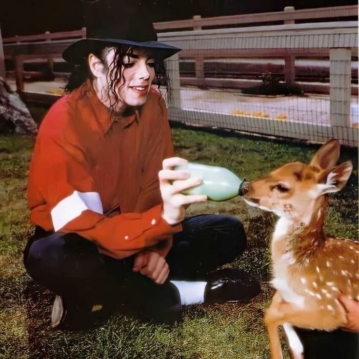 Michael Jackson thumbnail