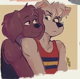 Rocky thumbnail