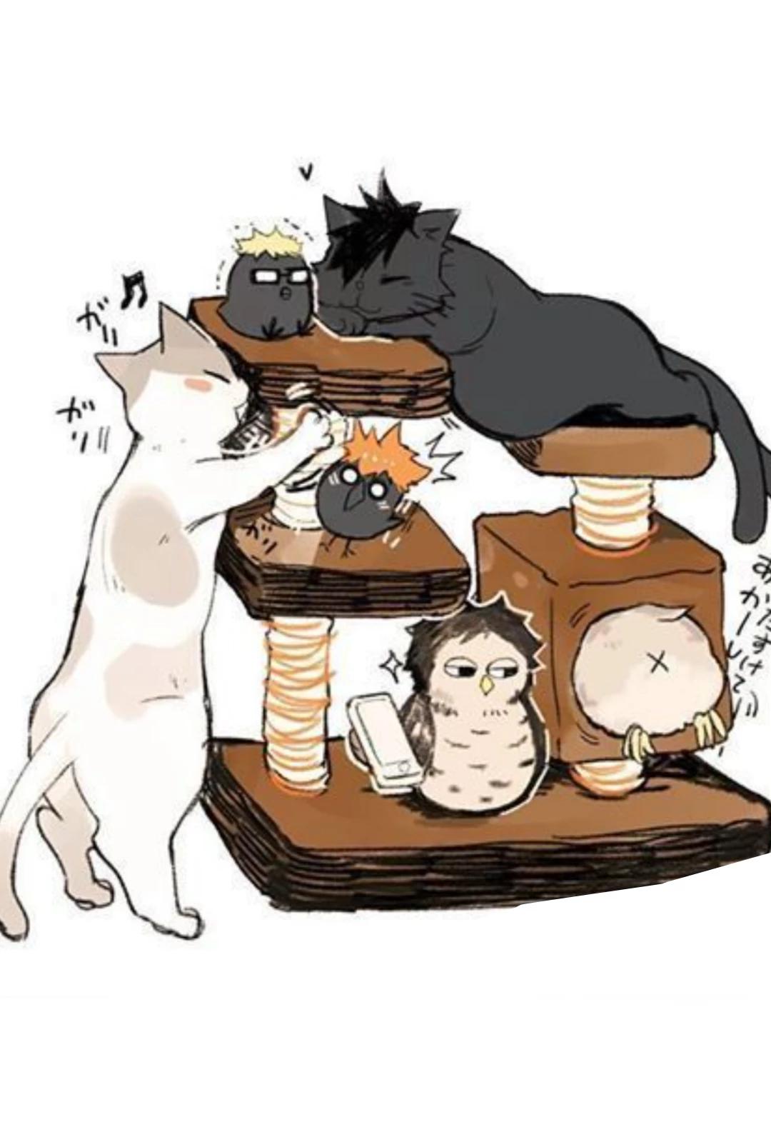 Camp Haikyuu thumbnail
