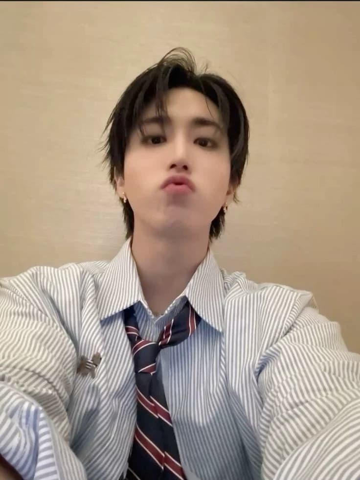 Han | BL (minsung !) thumbnail