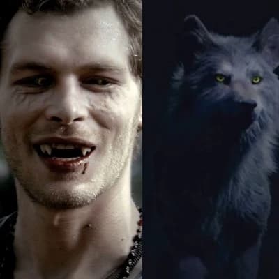 Klaus Mikaelson thumbnail