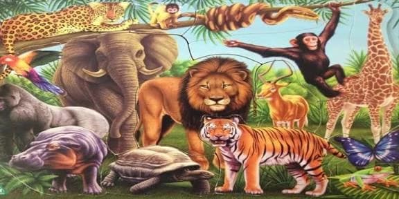 Animal World thumbnail