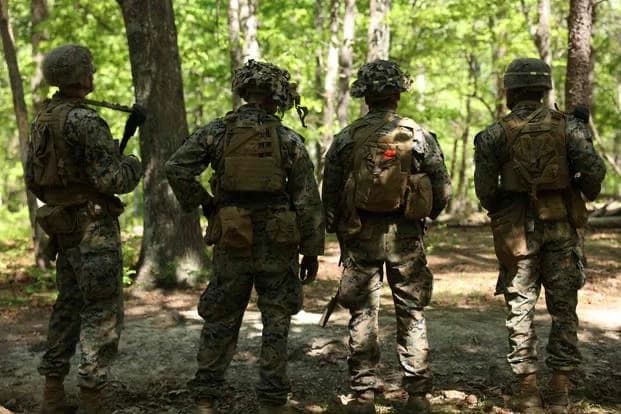 Redwing squad thumbnail