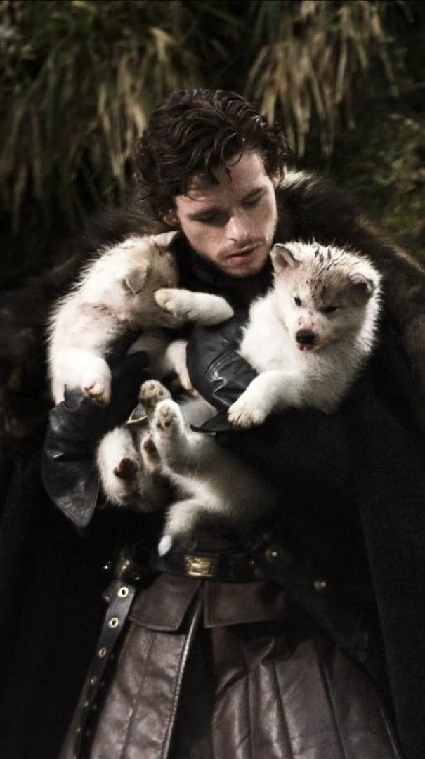 Robb Stark thumbnail