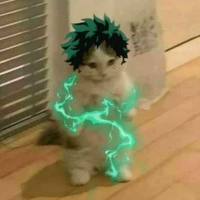 Midoriya 'Deku' Izuku (Cat Form) thumbnail