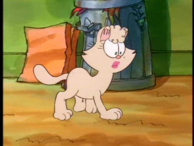 Penelope Gato thumbnail