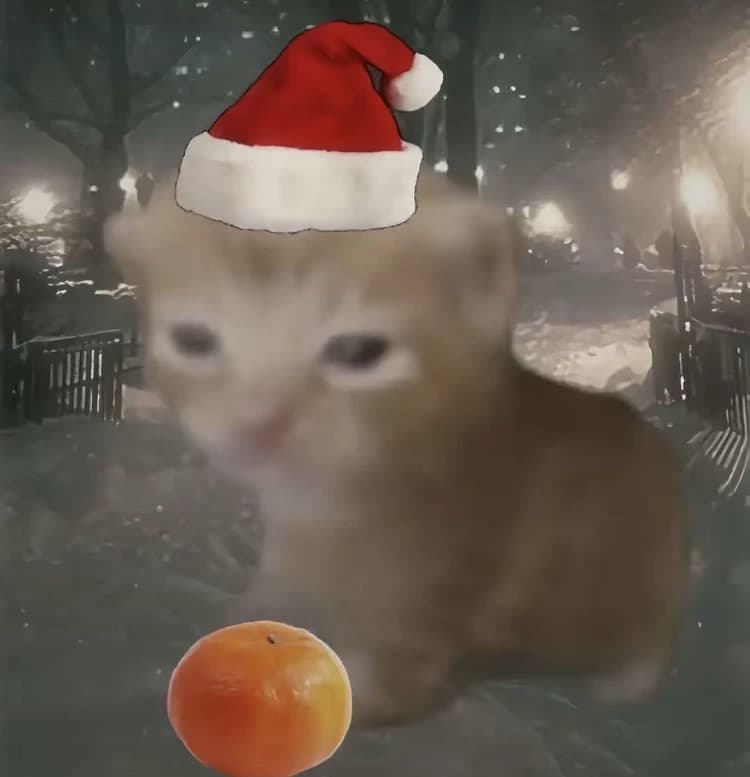 seal// thumbnail