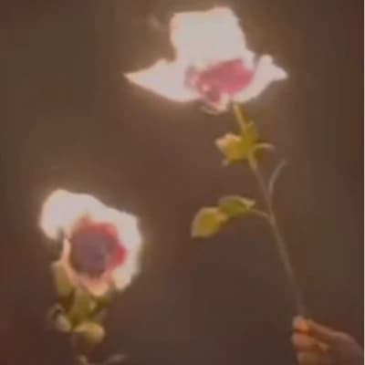 All for love thumbnail