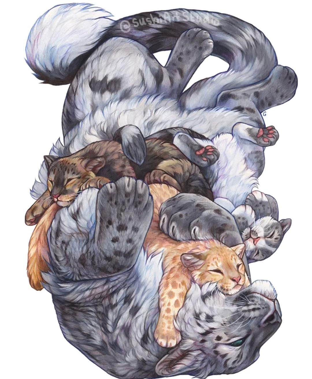 Family cat thumbnail