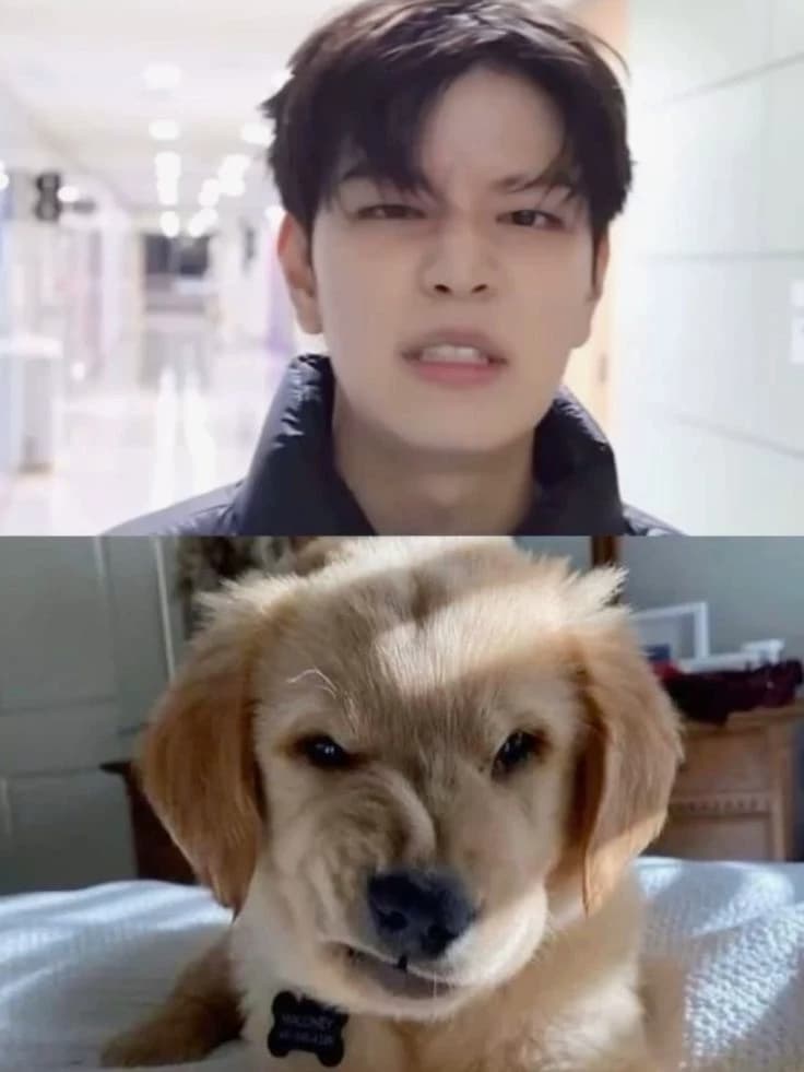 Kim Seungmin thumbnail
