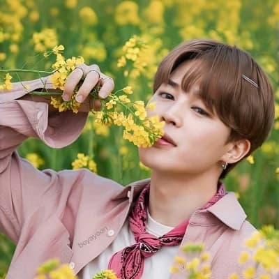 Jimin accidentally fell in love thumbnail