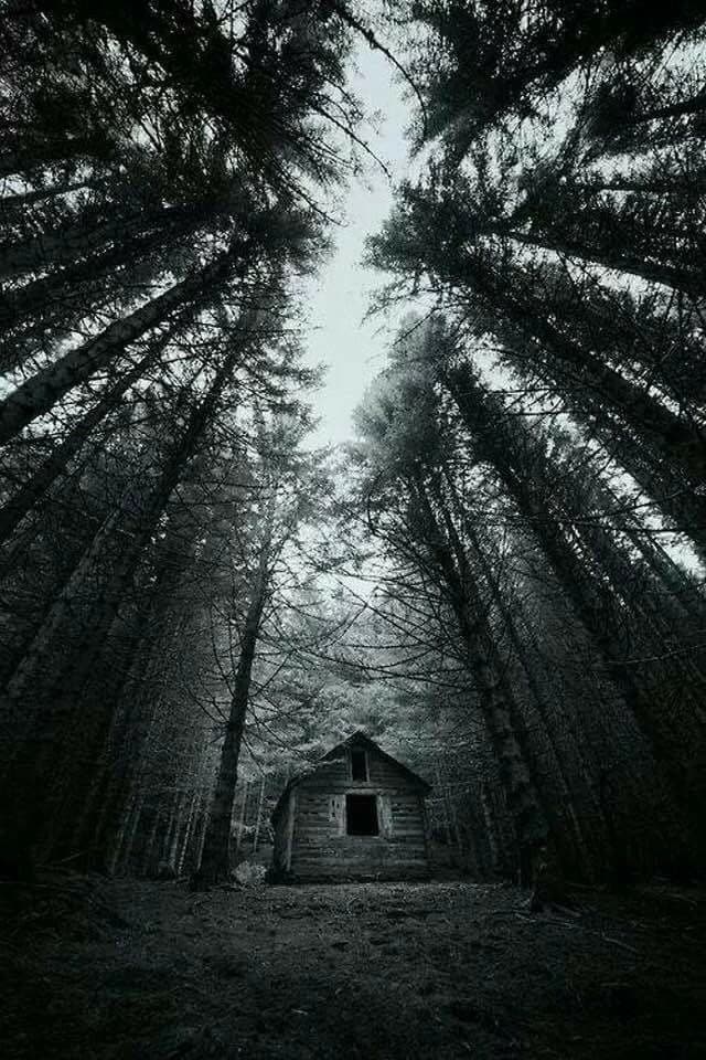 DARKWOOD thumbnail