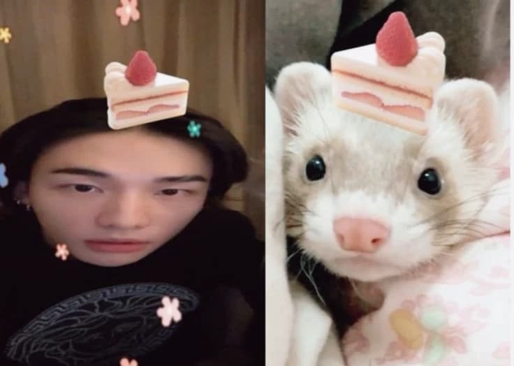 Hyunjin - Ferret hybrid! ★ thumbnail