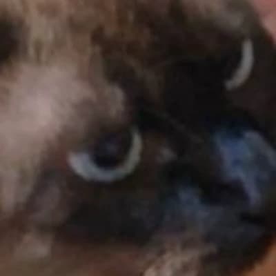 Take thumbnail