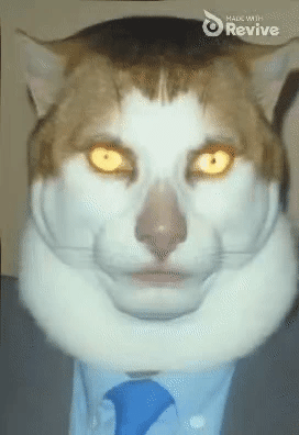 Whiskers thumbnail