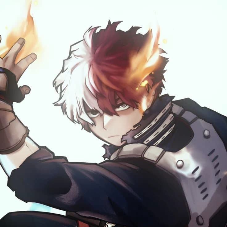 Todoroki shoto thumbnail